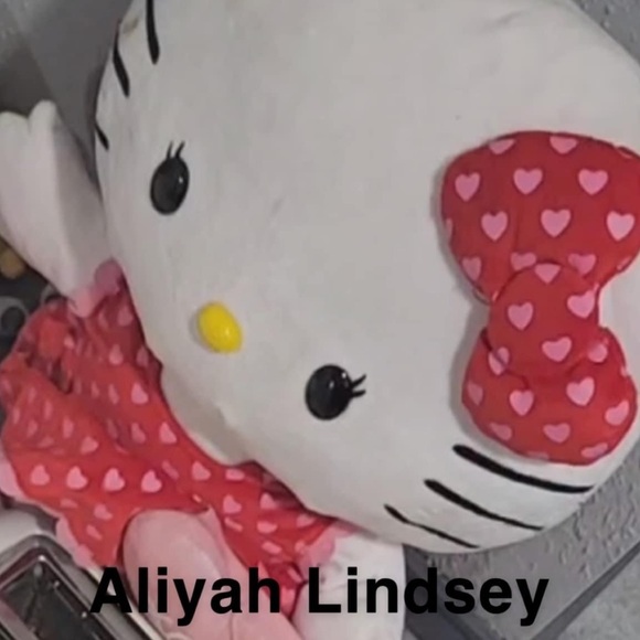 ISOOOOO THESE HELLO KITTY GREETERS - Picture 4 of 4